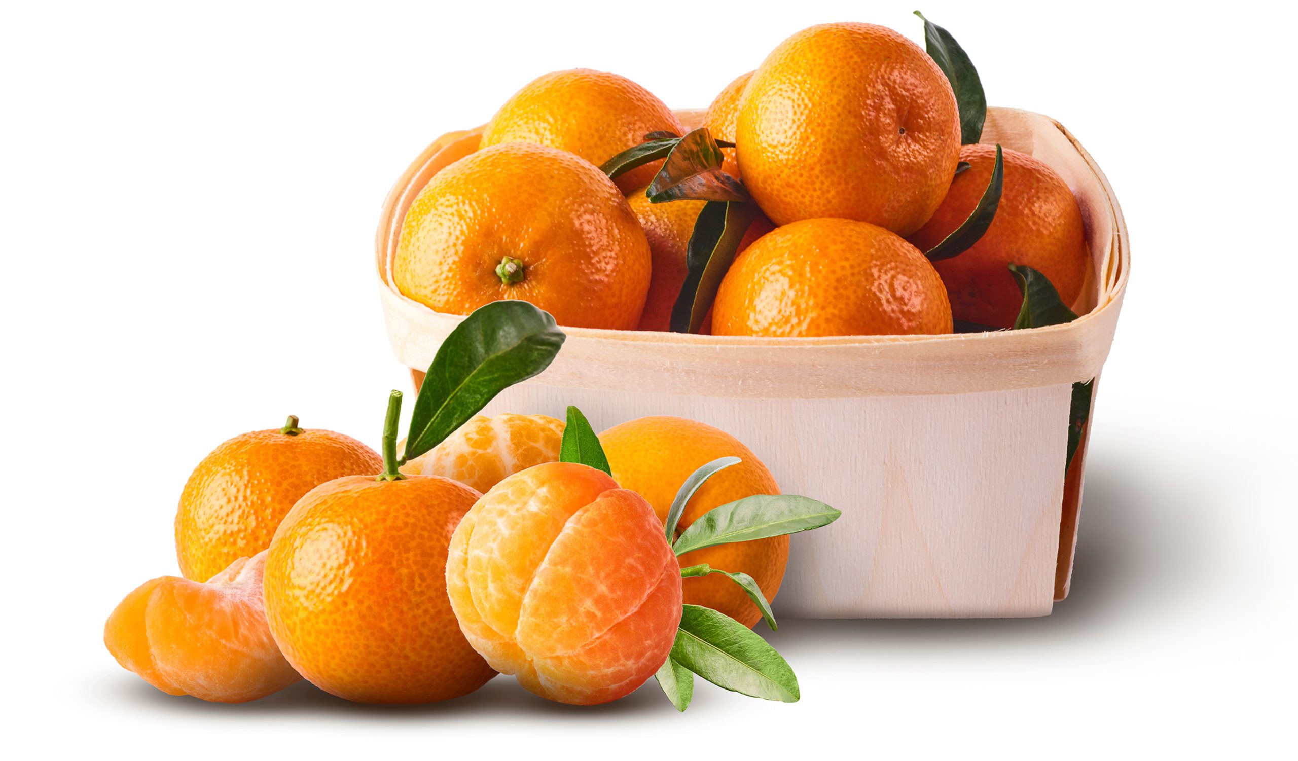 12trio-BASE-IMG-BIG-Liverani-Frutta